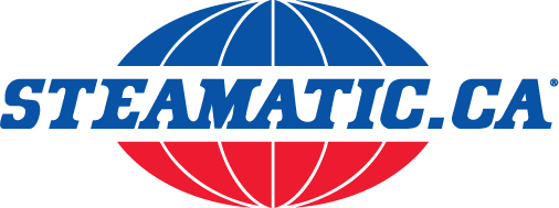 Steamatic